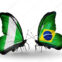 Nigbrazil International Limited
