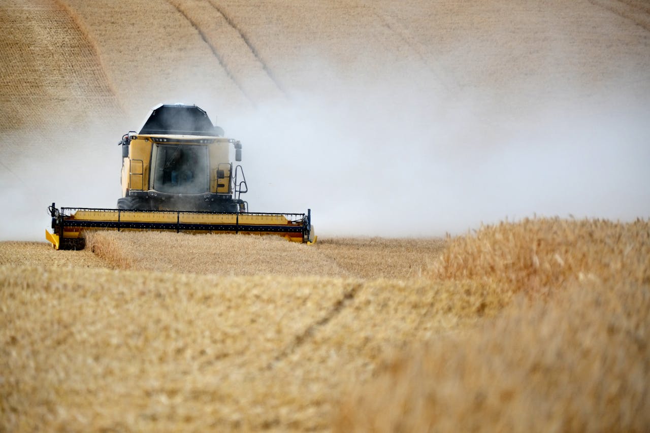 Combine harvester cutting ripe wheat in a vast field, cloudy sky visible.