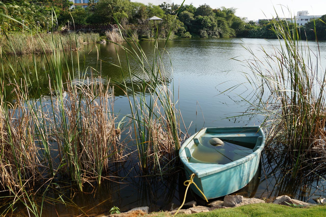 Lake View